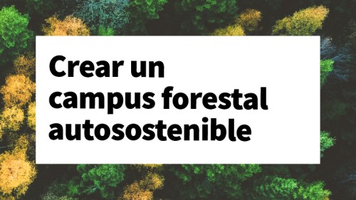 What if a real estate company could create a self-sustaining forest campus
